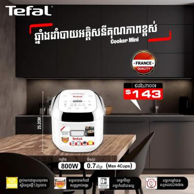 ឆ្នាំងដាំបាយអគ្គីសនី Cooker Mini