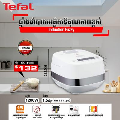 ឆ្នាំងដាំបាយអគ្គីសនី