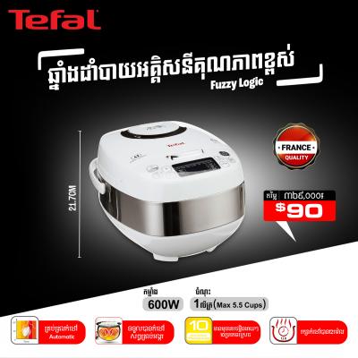 ឆ្នាំងដាំបាយអគ្គីសនី