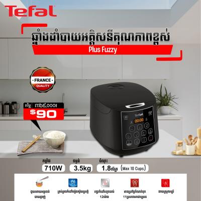 ឆ្នាំងដាំបាយអគ្គីសនី