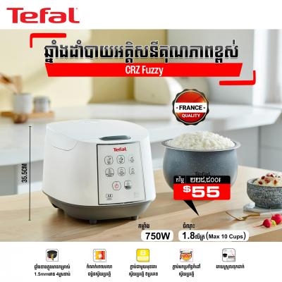 ឆ្នាំងដាំបាយអគ្គីសនី