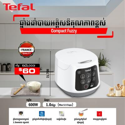 ឆ្នាំងដាំបាយអគ្គីសនី