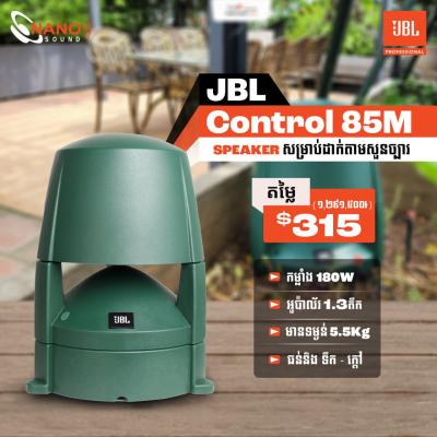 JBL Control 85M | Garden Speaker